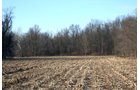 Property photo 5 - REAL ESTATE AUCTION - 84.5+/- ACRES IN 4 TRACTS IN WHITLEY COUNTY, INDIANA